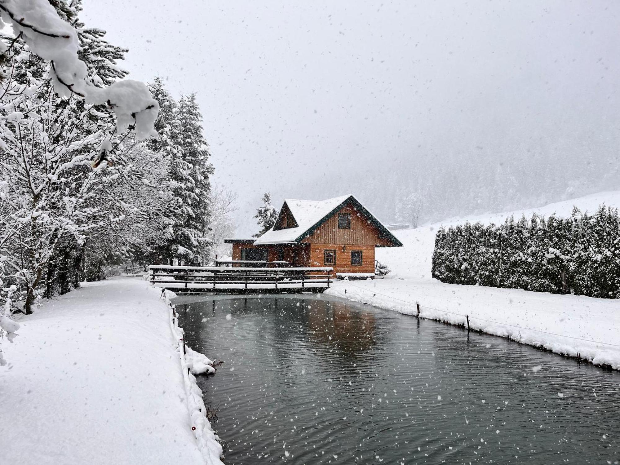 Villa Chalet am Teich Familie Gänser Feistritz am Kammersberg Exterior foto